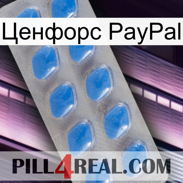 Ценфорс PayPal 22.jpg